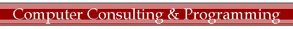 Computer Consulting & Programming